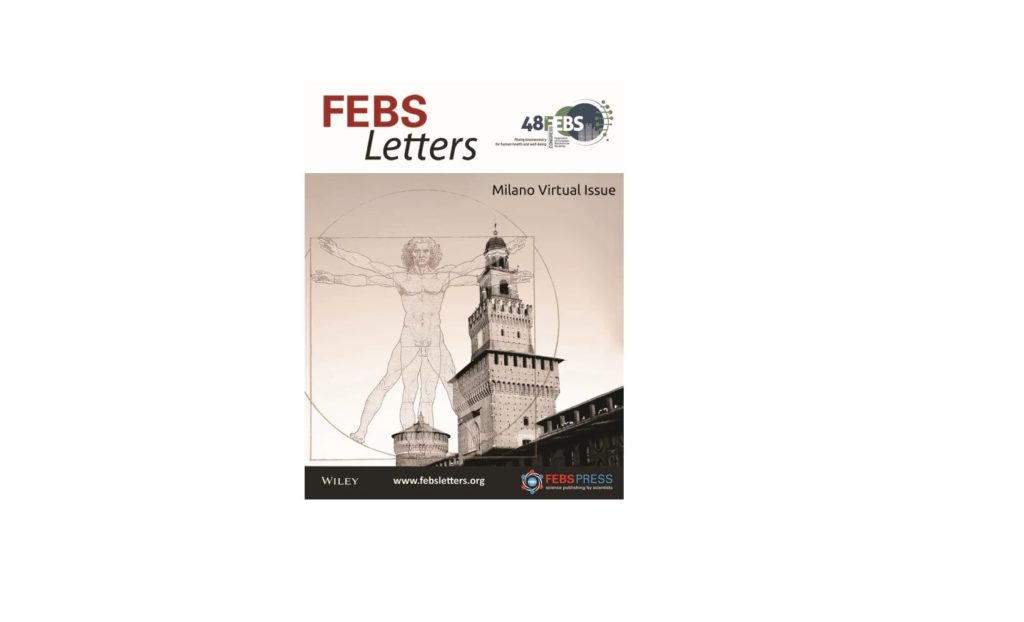 Cover of the FEBS Letters journal virtual issue